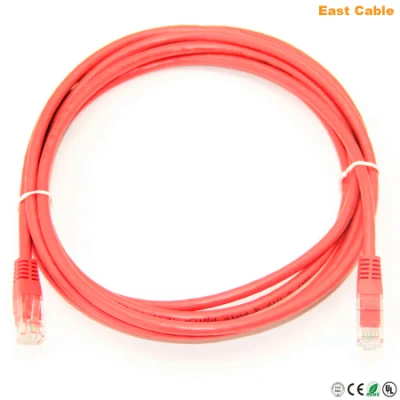 Réseau informatique en ligne Cordon de raccordement CAT6 UTP CAT6